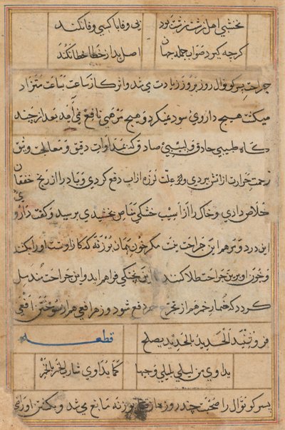 صفحة من حكايات ببغاء توتي ناما: صفحة نصية ، ج. 1560. بواسطة غير معروف