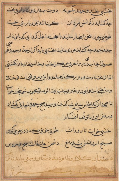 صفحة من حكايات ببغاء توتي ناما: صفحة نصية ، ج. 1560. بواسطة غير معروف