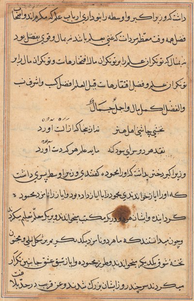 صفحة من حكايات ببغاء توتي ناما: صفحة نصية ، ج. 1560. بواسطة غير معروف