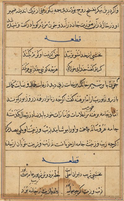 صفحة من حكايات ببغاء توتي ناما: صفحة نصية ، ج. 1560. بواسطة غير معروف