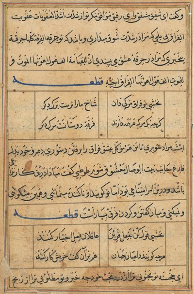 صفحة من حكايات ببغاء توتي ناما: صفحة نصية ، ج. 1560. بواسطة غير معروف