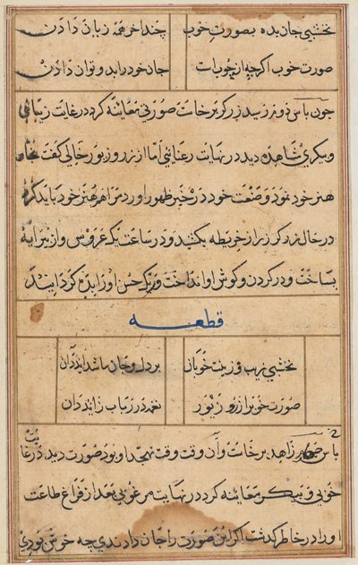 صفحة من حكايات ببغاء توتي ناما: صفحة نصية ، ج. 1560. بواسطة غير معروف