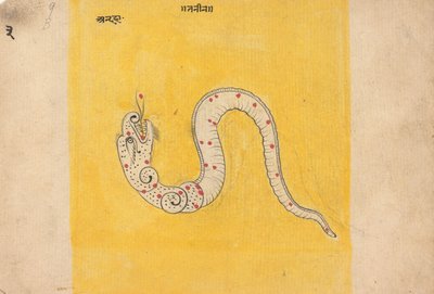صفحة من كتاب أحلام مشتت ، منتصف أواخر القرن التاسع عشر. بواسطة غير معروف