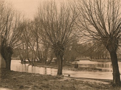بانجبورن وير ، 1902 بواسطة غير معروف