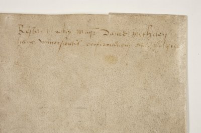 Papal Bull confirming charter of Bishop Henry Wardlaw, verso بواسطة غير معروف
