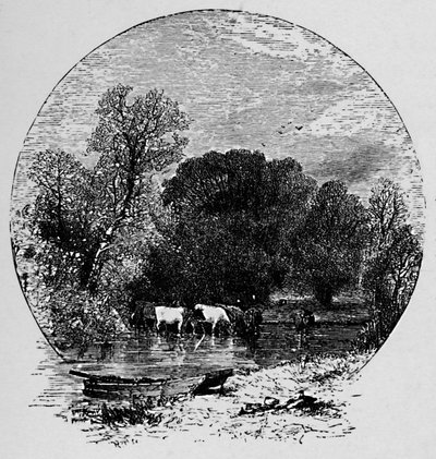 السلام والكثير ، 1883 بواسطة غير معروف