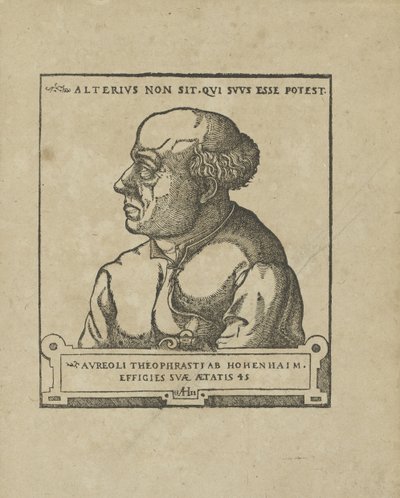 Philippus Theophrastus Aureolus Bombastus von Hohenheim Paracelsus، ca 1538. بواسطة غير معروف