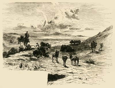 سهل ماراثون ، 1890. بواسطة غير معروف