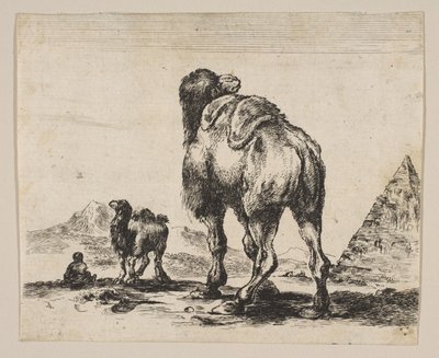 اللوحة 18: جمل ينظر إليه من الخلف مع هرم على اليمين ، من مختلف الحيوانات دي ... ، بعد عام 1641. بواسطة غير معروف
