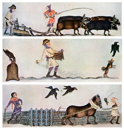 الحرث والبذر والمراعي ، c1300-1340 ، c1900-1920 بواسطة غير معروف