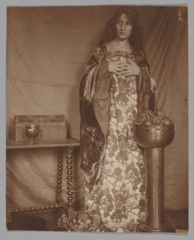 Portrait of Alice Dieudonne Chase بواسطة غير معروف