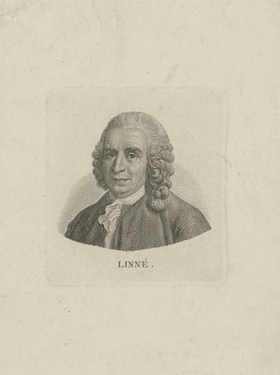 صورة لكارل لينيوس 1707-1778 ، ج. 1780. بواسطة غير معروف