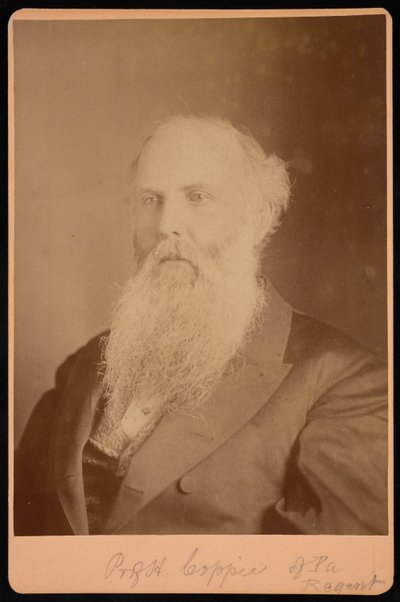 صورة هنري كوبيتش 1821-1895 ، 1875. بواسطة غير معروف