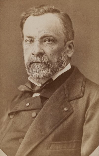 صورة لويس باستور 1822-1895 ، ج. 1870. بواسطة غير معروف