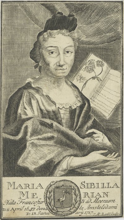 صورة ماريا سيبيلا ميريان 1647-1717 ، 1755. بواسطة غير معروف
