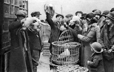 تجار الدواجن ، سوق كاليدونيان ، لندن ، 1926-1927 بواسطة غير معروف