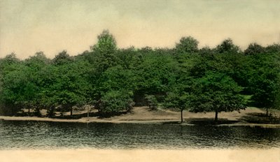 Queensmere ، ويمبلدون كومون ، لندن ، 1903. بواسطة غير معروف