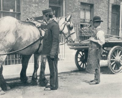مفتش RSPCA يفحص حصانًا ، c1903 1903 بواسطة غير معروف