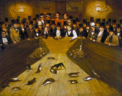 "اصطياد الفئران في Blue Anchor Tavern ، Bunhill Row ، Finsbury" ، c1850 بواسطة غير معروف