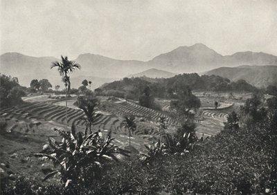 مجال السفر في مرسى Terrasen ، 1926 بواسطة غير معروف