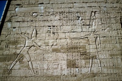 إغاثة رمسيس الثالث وهو يضرب الأعداء ، معبد رعمسيس الثالث الجنائزي ، مدينة هابو ، حوالي 1200 ق. بواسطة غير معروف