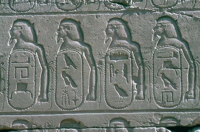 نقوش تظهر خراطيش لأسماء مدن الشرق الأدنى الأسيرة ، معبد آمون ، الكرنك ، مصر بواسطة غير معروف