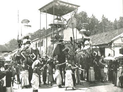 موكب ديني ، كولومبو ، سيلان ، 1895. بواسطة غير معروف