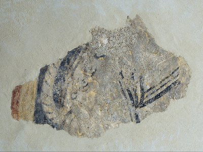 بقايا رباعي الأرجل من سانت جوان دي بوي بواسطة غير معروف