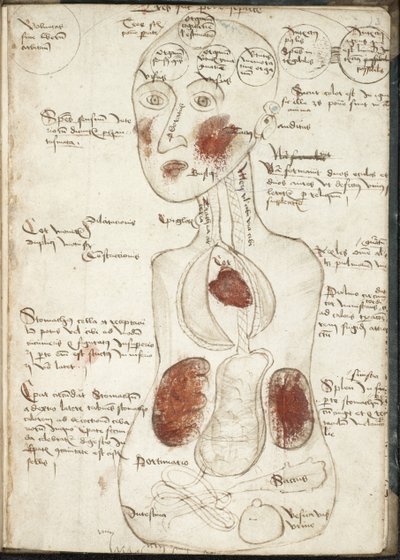 تمثيل نظرية الوعي الأرسطية من: De corpore et anima بواسطة غير معروف