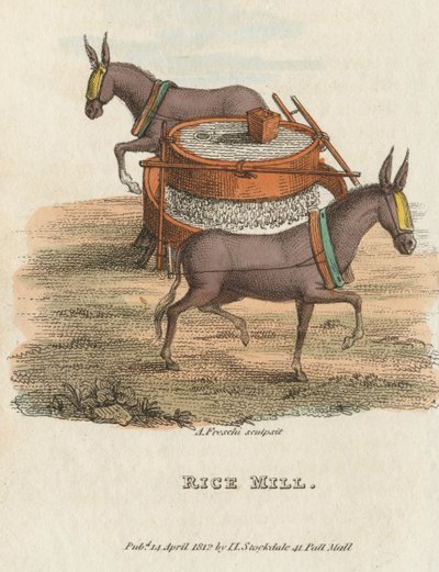 مطحنة الأرز ، 1813 بواسطة غير معروف