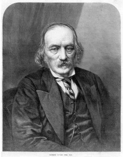 ريتشارد أوين ، عالم التشريح وعلم الحفريات الإنجليزي ، 1872 بواسطة غير معروف