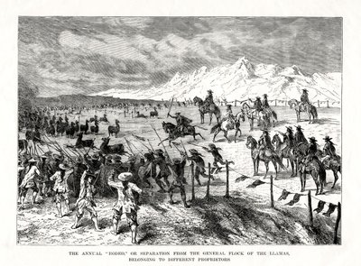 روديو ، أمريكا الجنوبية ، 1877 بواسطة غير معروف