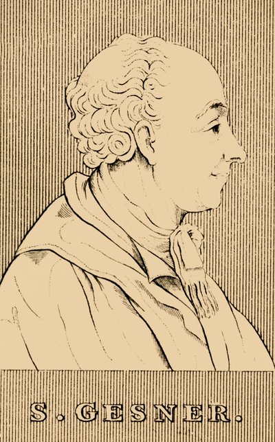 جيسنر ، 1730-1788 ، 1830. بواسطة غير معروف