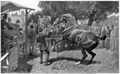 بيع الصيادين والرفع والاعتراض 1885 بواسطة غير معروف
