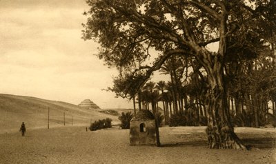 سقارة - الهرم المدرج من سيكومور ، c1918-c1939. بواسطة غير معروف