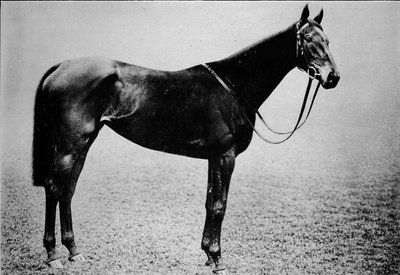 صولجان ، 1899-1926 ، 1911 بواسطة غير معروف