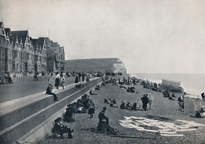سيفورد - العرض ، 1895 بواسطة غير معروف