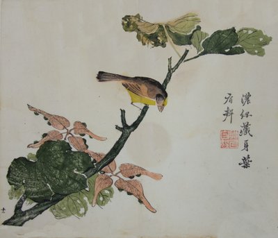 Seeds and Aleurites Cordata: صفحة من دليل حديقة بذور الخردل لعام ... ، 1782 ، الطبعة الثانية. بواسطة غير معروف