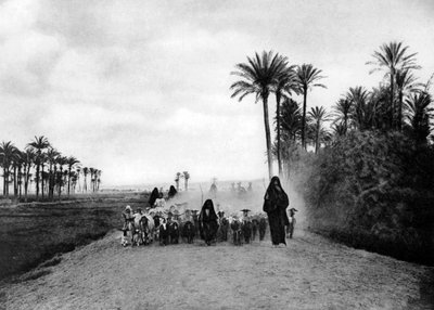 رعي الأغنام بالقرب من القاهرة ، مصر ، 1920s بواسطة غير معروف