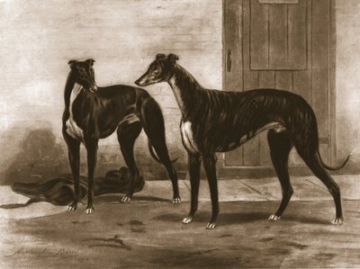 سيمونيان وفوليرتون ، c1891 ، 1911. بواسطة غير معروف