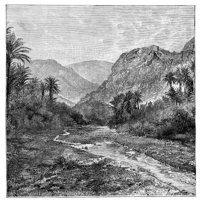 سيناء ، مصر ، 1895 بواسطة غير معروف