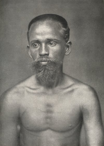 عامل من السنهالية من هولندا ، 1926 بواسطة غير معروف