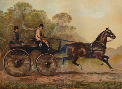 تسخير أحادي الحصان فايتون كولومبين. ممتلكات تشارلز بينز Esq. ، 1872 ، c1879 بواسطة غير معروف