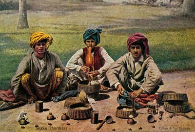 ثعبان تشارمرز ، c1910. بواسطة غير معروف