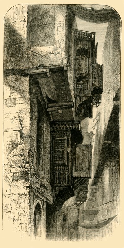 شارع القاهرة 1881. بواسطة غير معروف