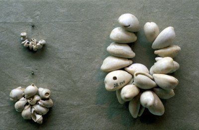 سلاسل قذائف Cowrie بواسطة غير معروف