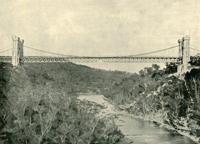 جسر معلق ، شمال سيدني ، 1901. بواسطة غير معروف