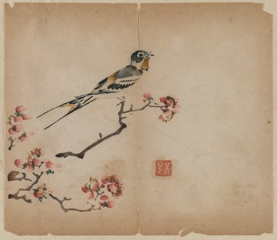 ابتلاع فرع الخوخ المزهر ، 1368-1644. بواسطة غير معروف