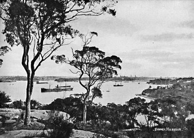 ميناء سيدني ، من Cremorne Point ، c1900. بواسطة غير معروف