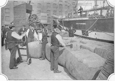 حصر بالات الصوف في London Docks ، c1900 1901 بواسطة غير معروف